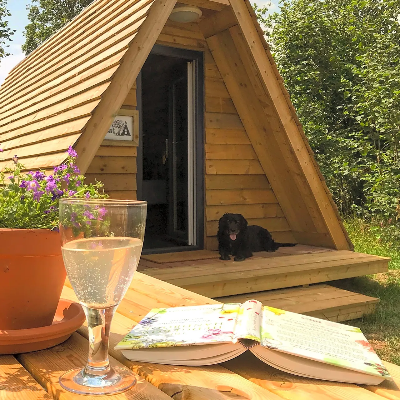 Nature-Inspired Glamping House in Maligo, Polomolok